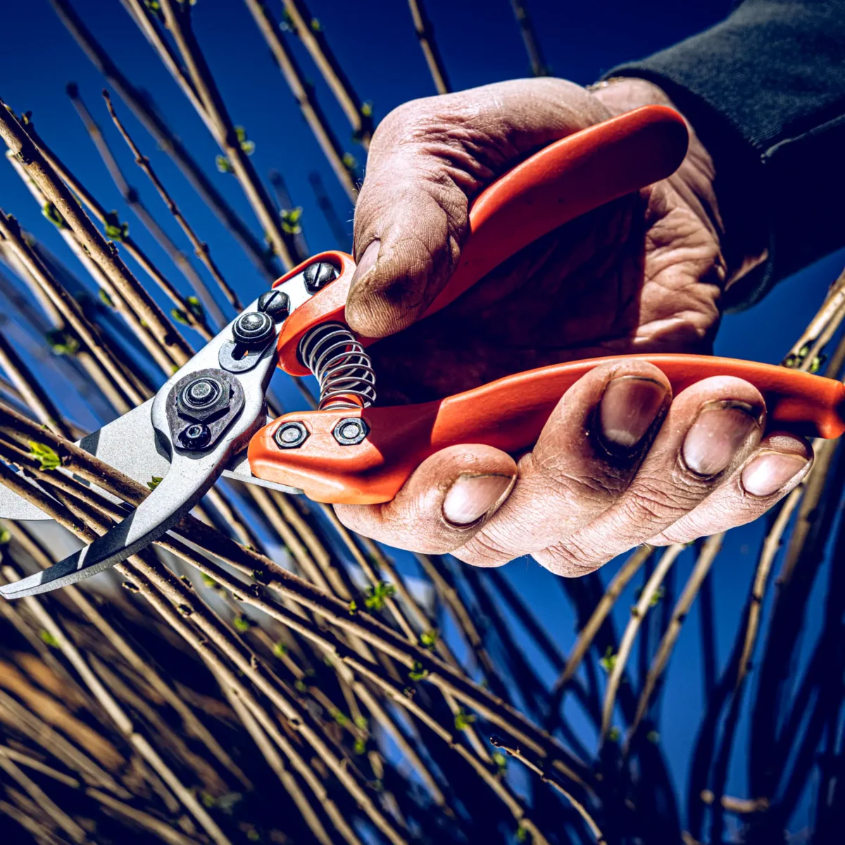 Löwe 11 Precision Clean Cut naisille