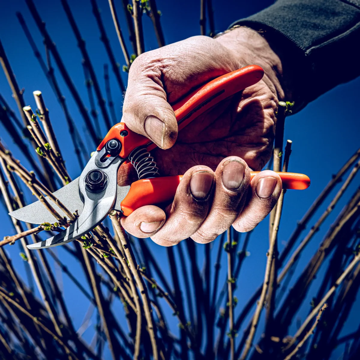 Puutarhasakset Löwe 14.107 Economic Clean Cut pienille käsille